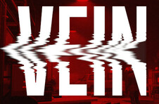 Vein一键汉化工具